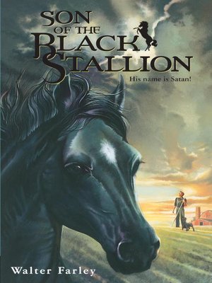 cover image of Son of the Black Stallion